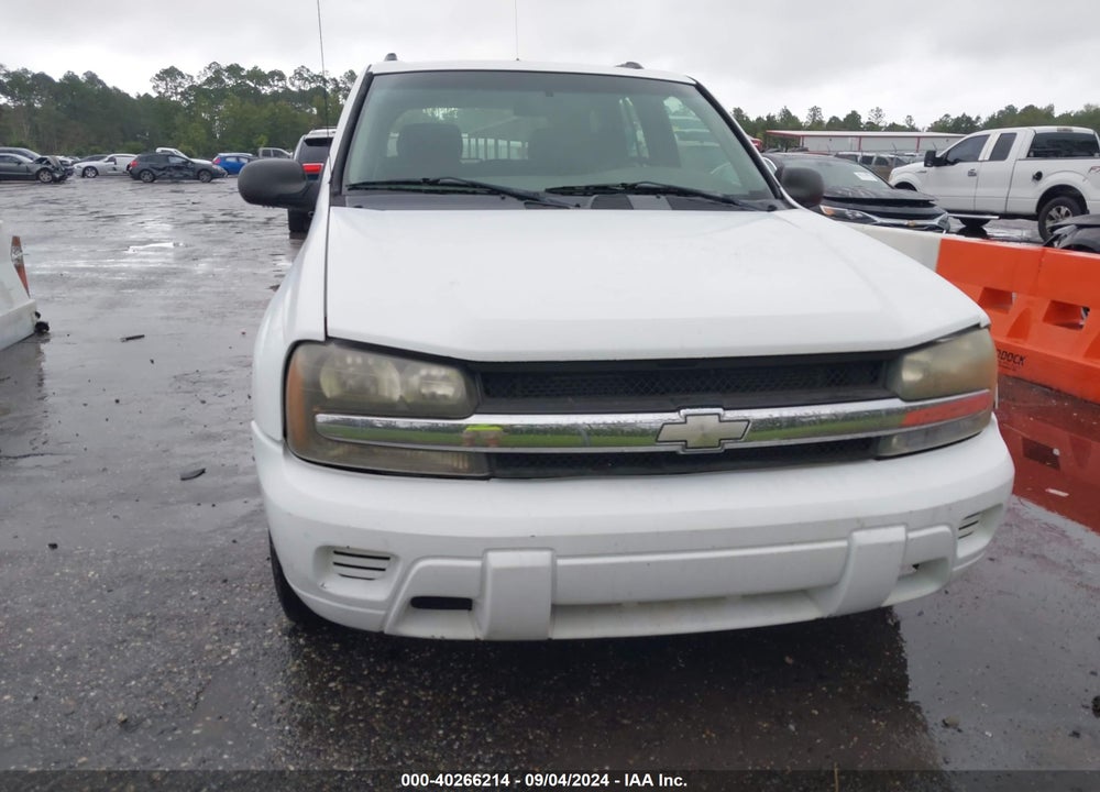 2003 CHEVROLET TRAILBLAZER LS VIN: 1GNDS13S632413653