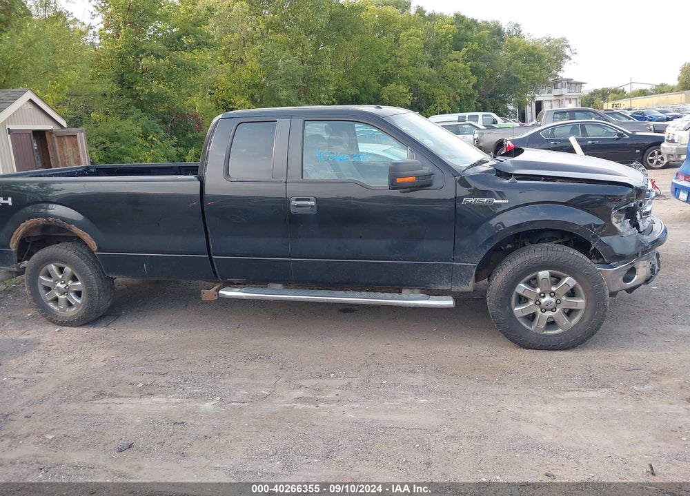 2013 FORD F-150 XLT VIN: 1FTFX1EFXDKF79601
