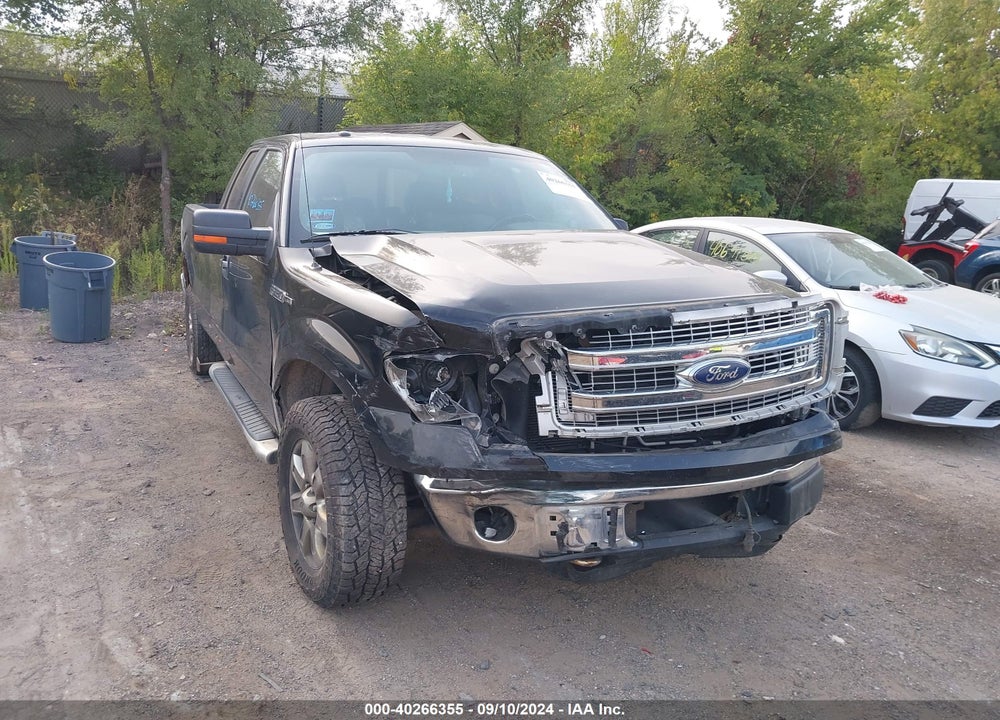 2013 FORD F-150 XLT VIN: 1FTFX1EFXDKF79601