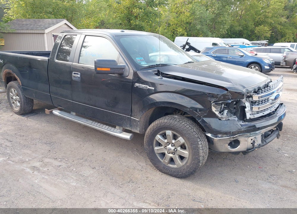 2013 FORD F-150 XLT VIN: 1FTFX1EFXDKF79601
