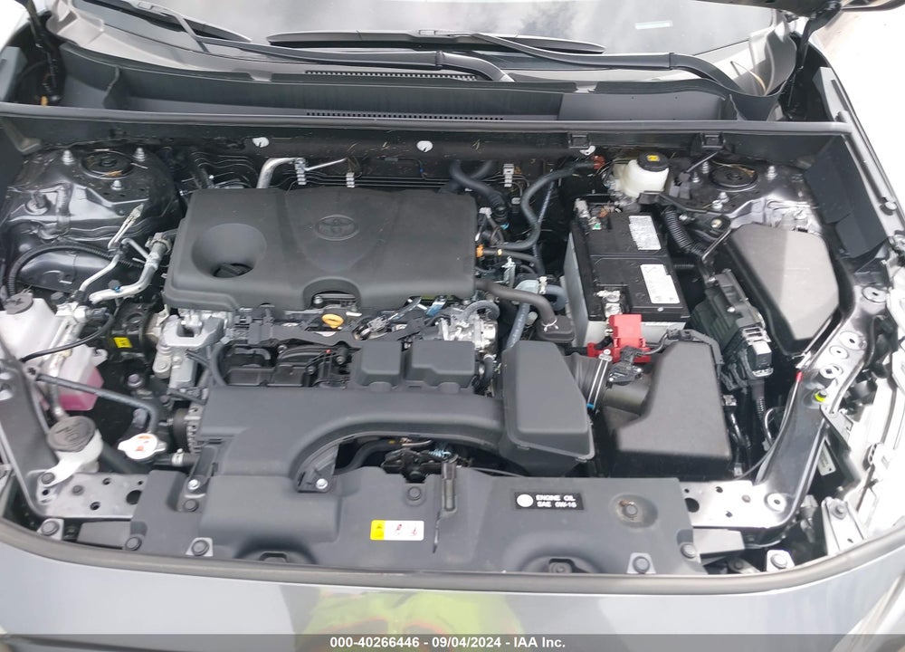2024 TOYOTA RAV4 XLE VIN: 2T3W1RFV6RC282444
