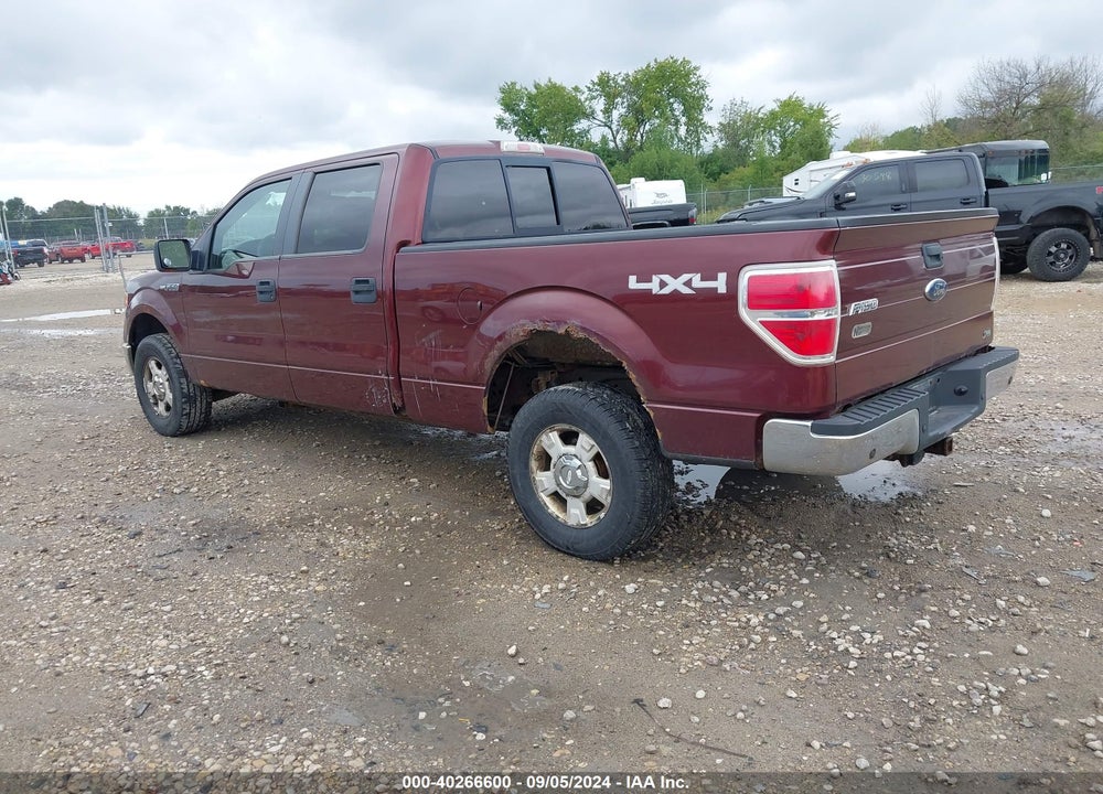 2010 FORD F-150 FX4/HARLEY-DAVIDSON/KING RANCH/LARIAT/PLATINUM/XL/XLT VIN: 1FTFW1EV9AFA82036
