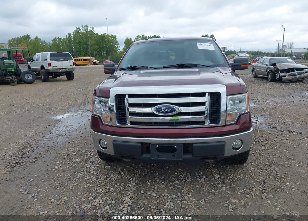2010 FORD F-150 FX4/HARLEY-DAVIDSON/KING RANCH/LARIAT/PLATINUM/XL/XLT VIN: 1FTFW1EV9AFA82036