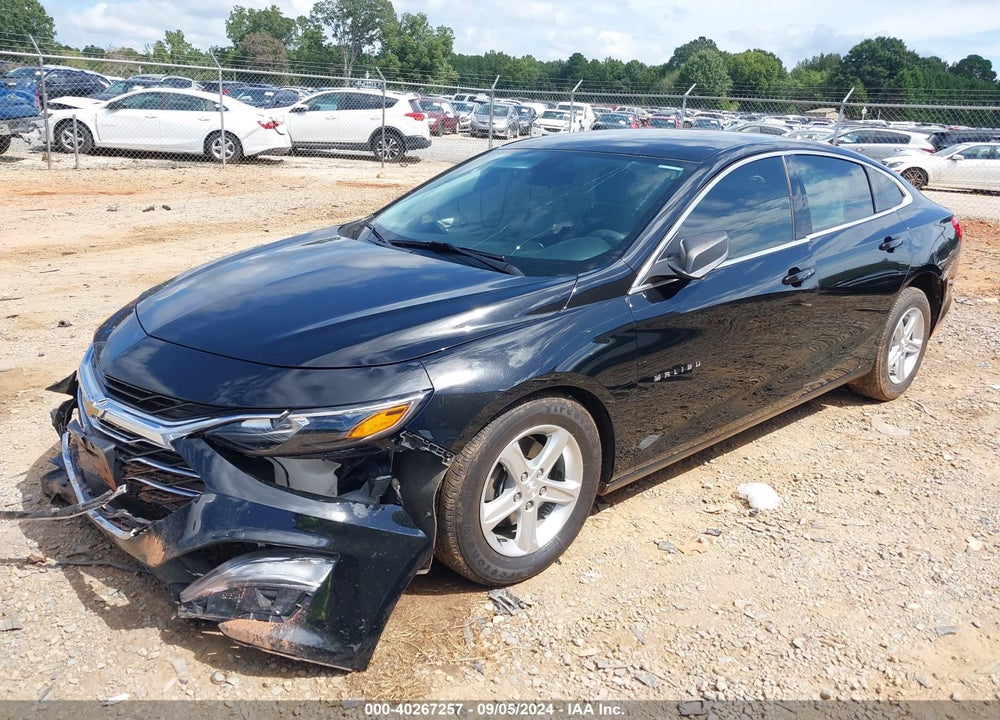 2019 CHEVROLET MALIBU 1LS VIN: 1G1ZB5ST6KF114793
