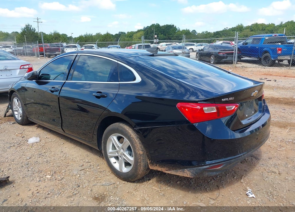 2019 CHEVROLET MALIBU 1LS VIN: 1G1ZB5ST6KF114793