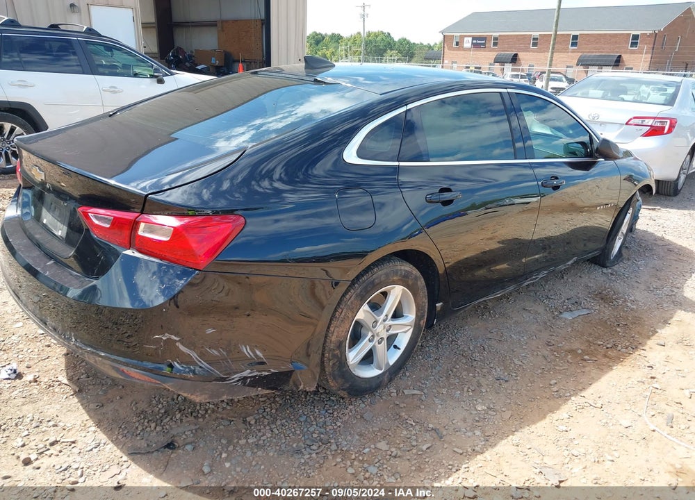 2019 CHEVROLET MALIBU 1LS VIN: 1G1ZB5ST6KF114793