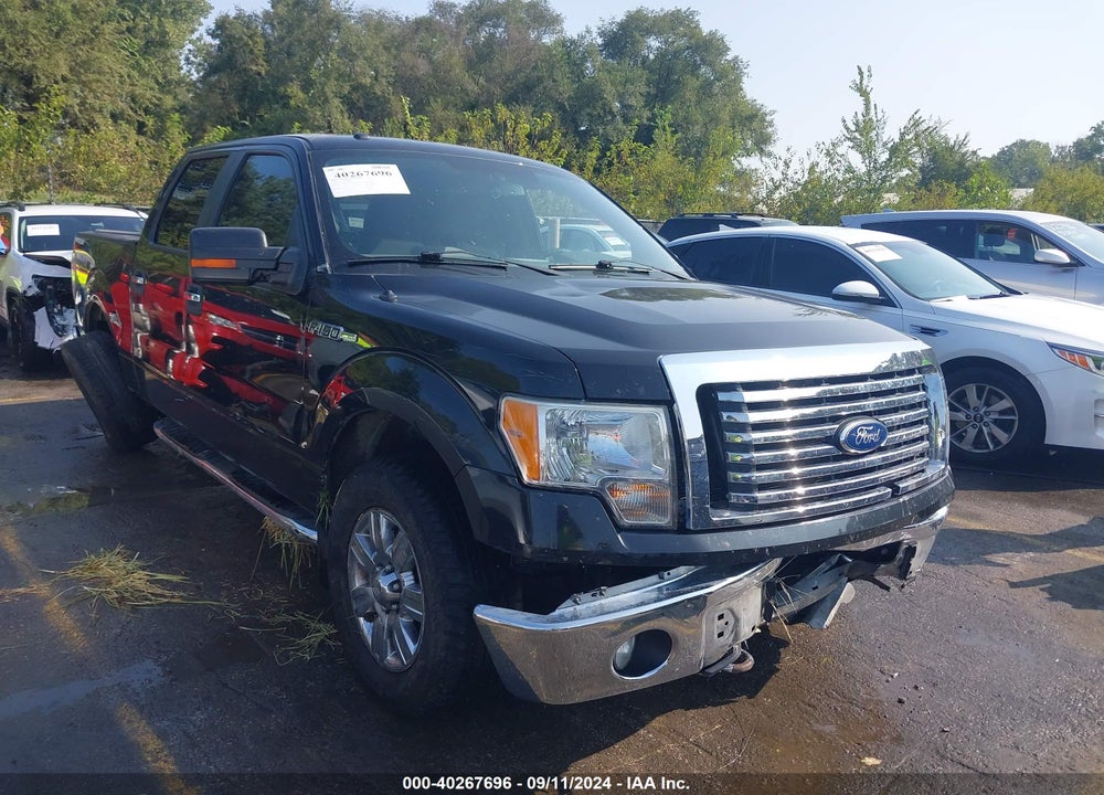 2012 FORD F-150 XLT VIN: 1FTFW1EF1CFA29102