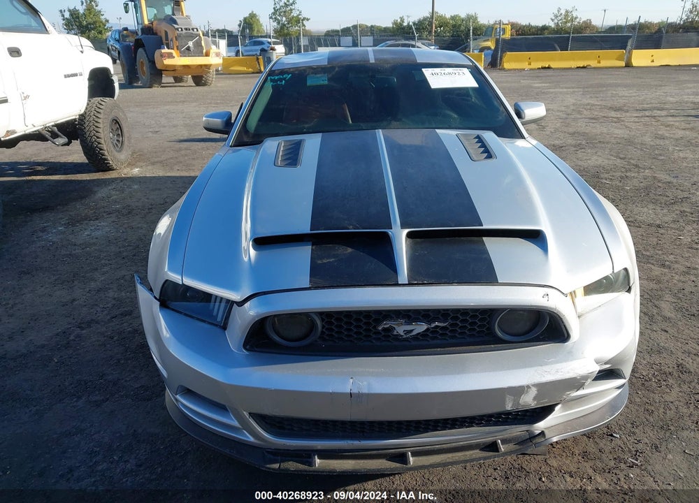 2013 FORD MUSTANG GT PREMIUM VIN: 1ZVBP8CFXD5251536