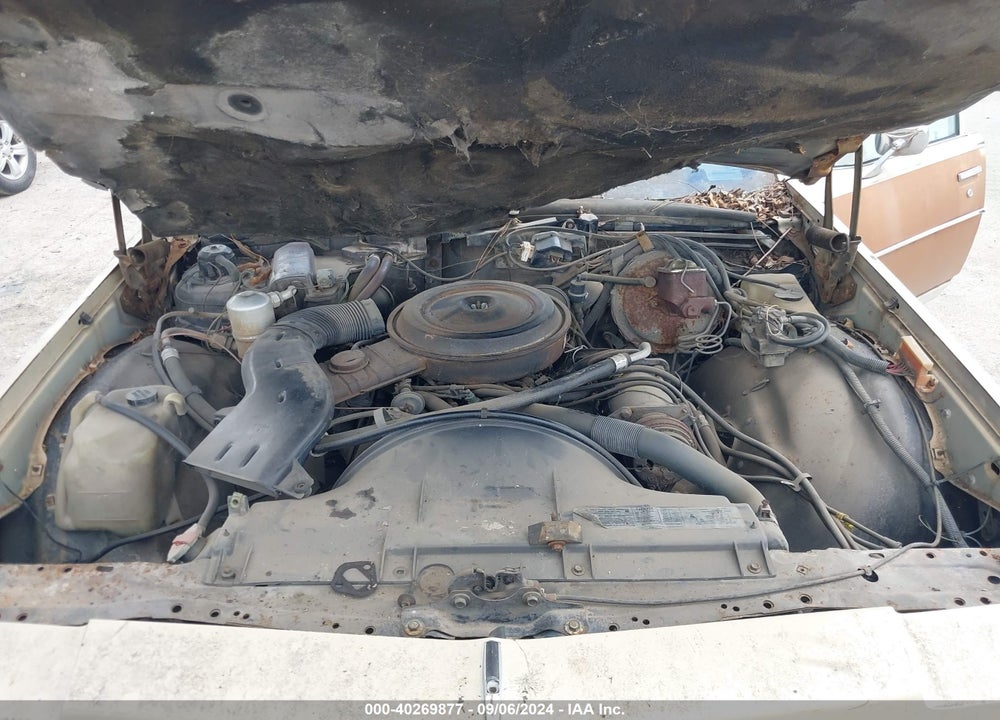 1979 CHEVROLET CAPRICE VIN: 1N35L9C168406