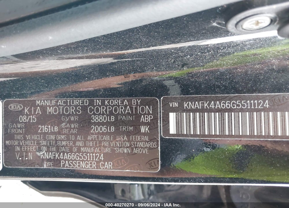2016 KIA FORTE LX VIN: KNAFK4A66G5511124