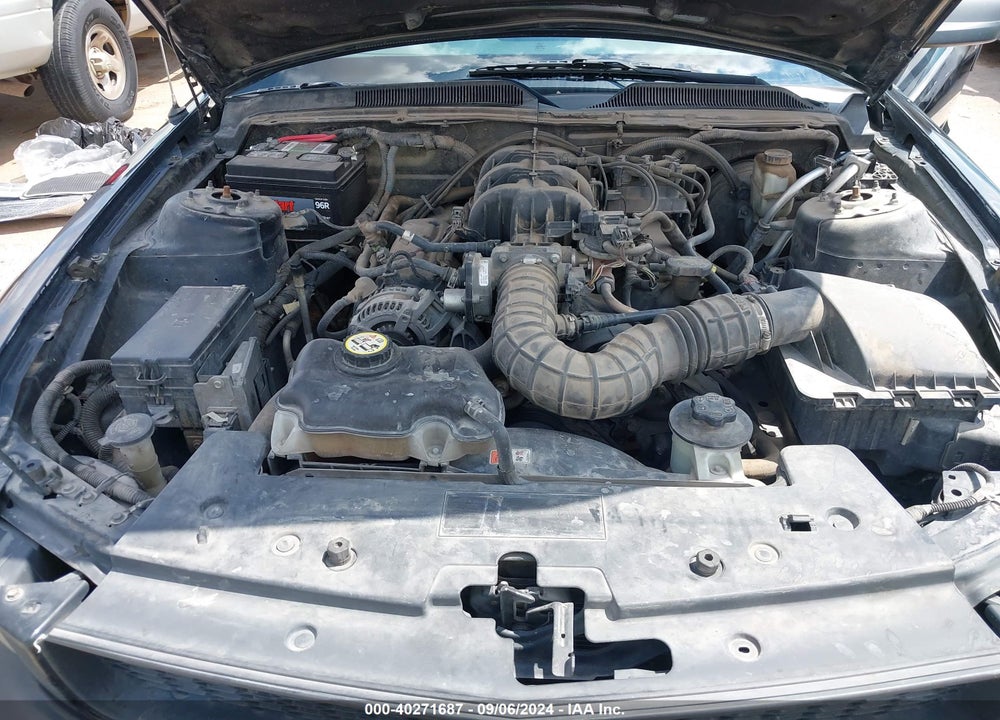 2009 FORD MUSTANG V6/V6 PREMIUM VIN: 1ZVHT80N395134177