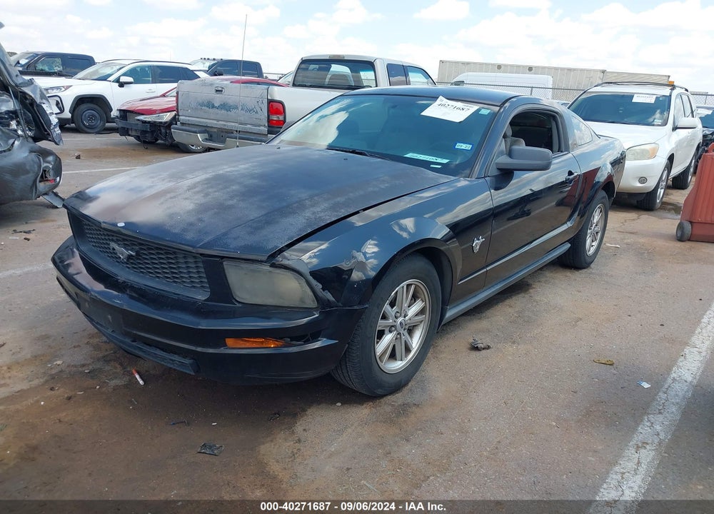 2009 FORD MUSTANG V6/V6 PREMIUM VIN: 1ZVHT80N395134177