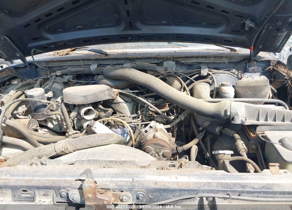1989 FORD F150 VIN: 1FTEF15N7KNA79851