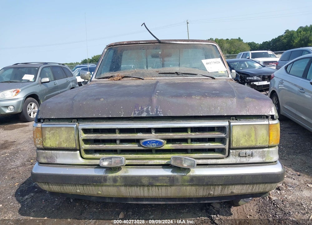 1989 FORD F150 VIN: 1FTEF15N7KNA79851