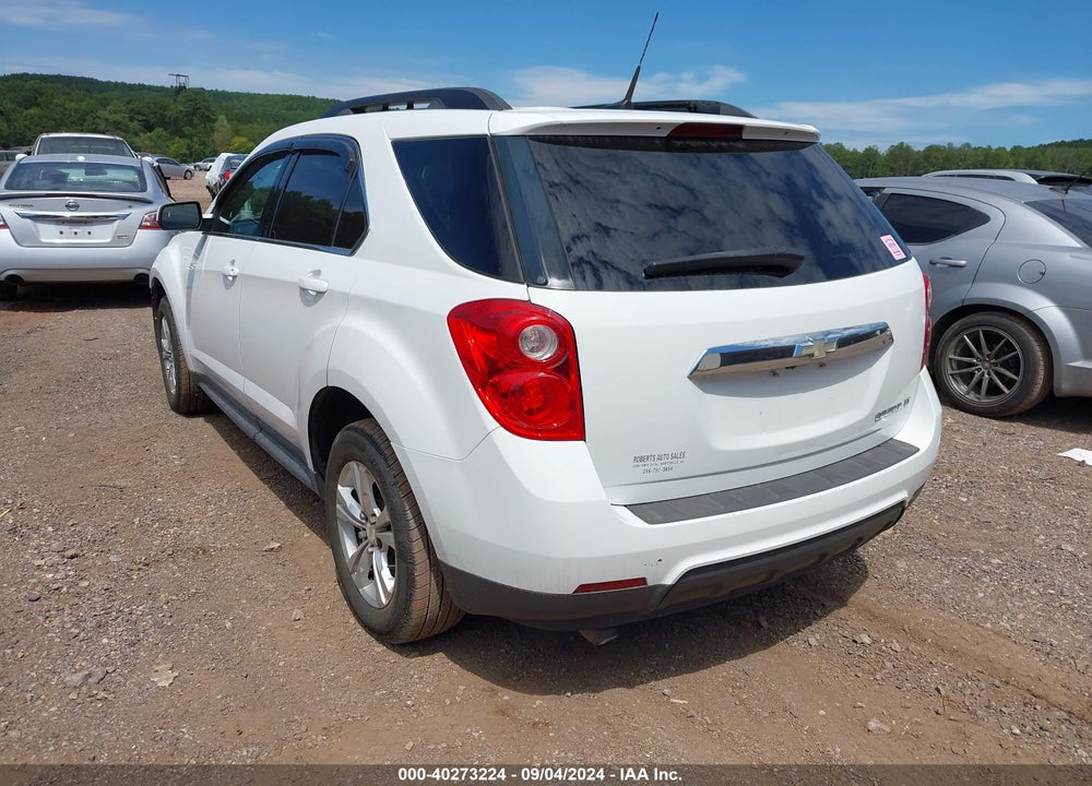 2010 CHEVROLET EQUINOX LT VIN: 2CNALDEW9A6321894