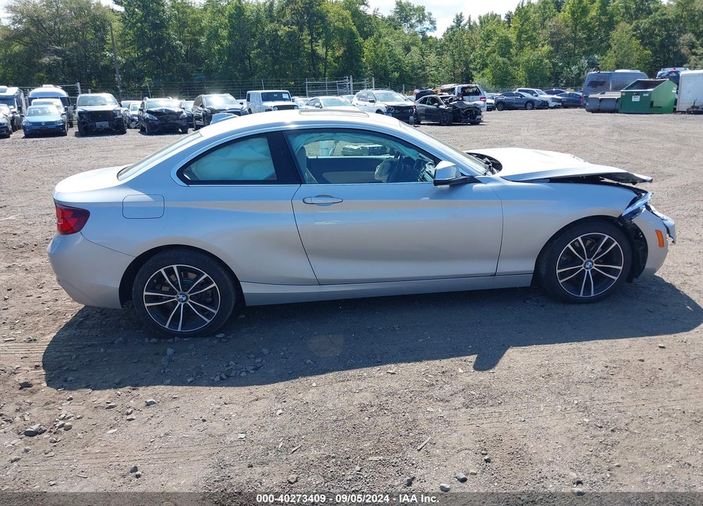 2020 BMW 230I VIN: WBA2J3C0XL7E50267