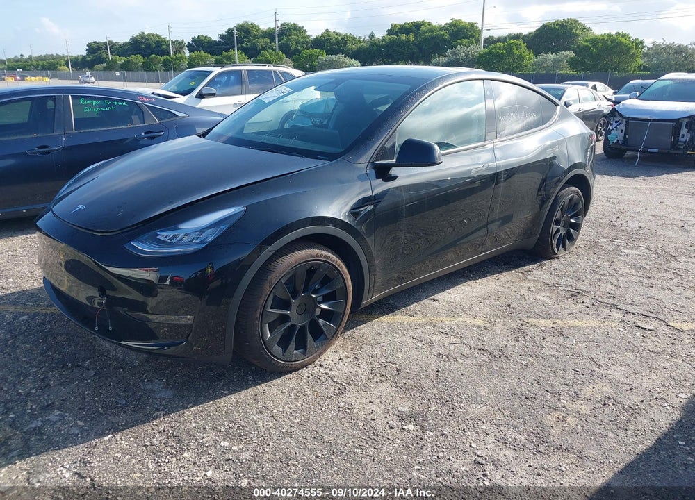 2023 TESLA MODEL Y VIN: 7SAYGDEE9PA094319