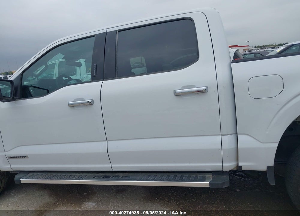 2024 FORD F-150 XLT VIN: 1FTFW3LD3RFA62771