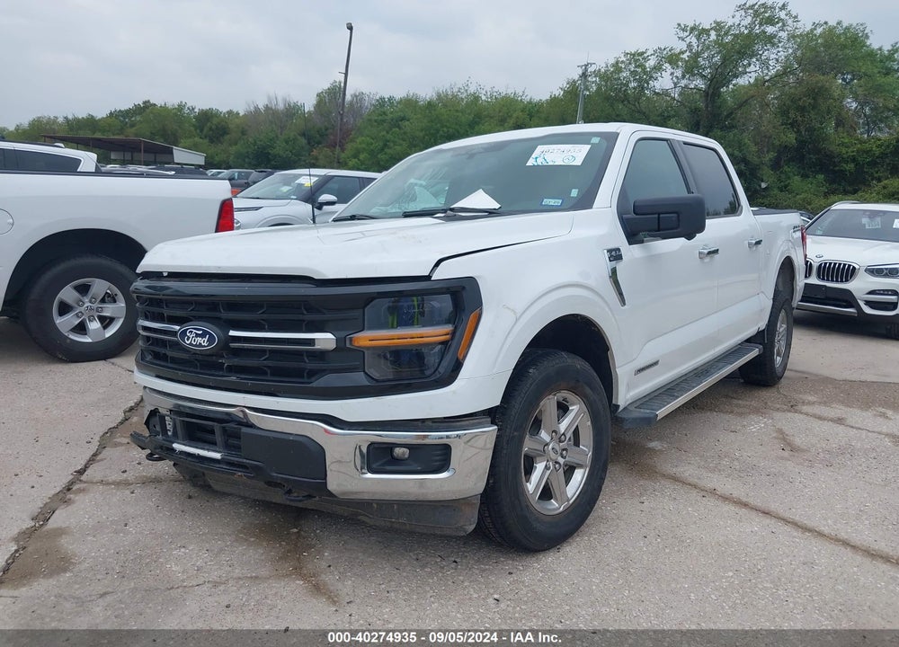 2024 FORD F-150 XLT VIN: 1FTFW3LD3RFA62771