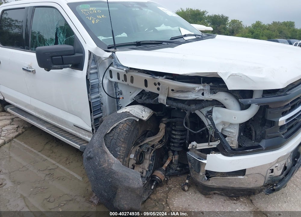 2024 FORD F-150 XLT VIN: 1FTFW3LD3RFA62771