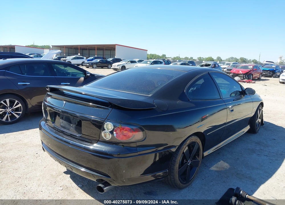 2006 PONTIAC GTO VIN: 6G2VX12UX6L523645