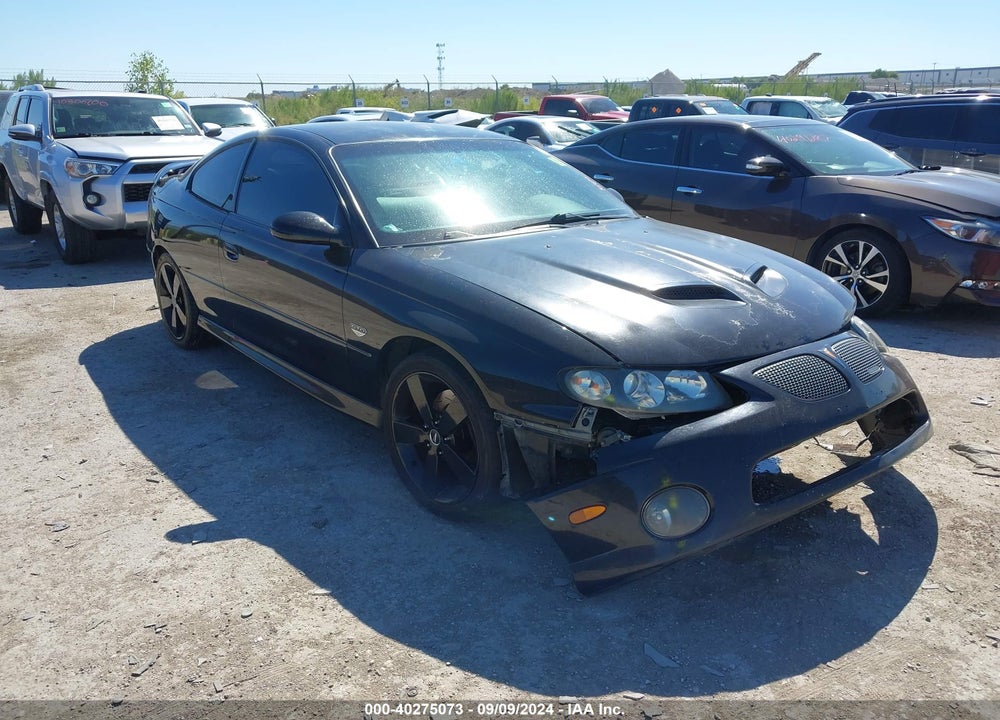 2006 PONTIAC GTO VIN: 6G2VX12UX6L523645