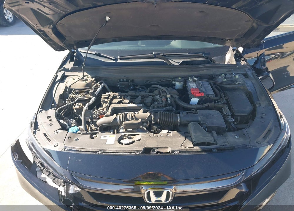 2019 HONDA ACCORD LX VIN: 1HGCV1F1XKA012949