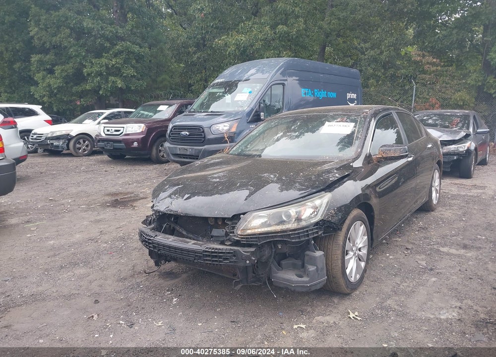 2014 HONDA ACCORD EX-L VIN: 1HGCR2F85EA235301