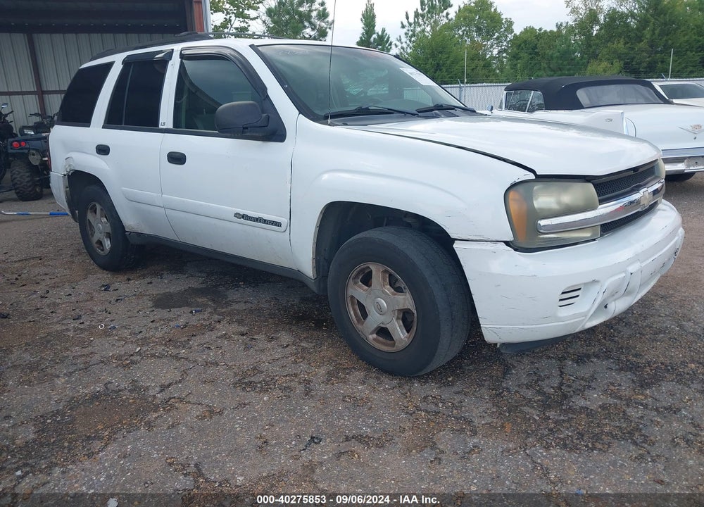 2002 CHEVROLET TRAILBLAZER LS VIN: 1GNDS13SX22492078