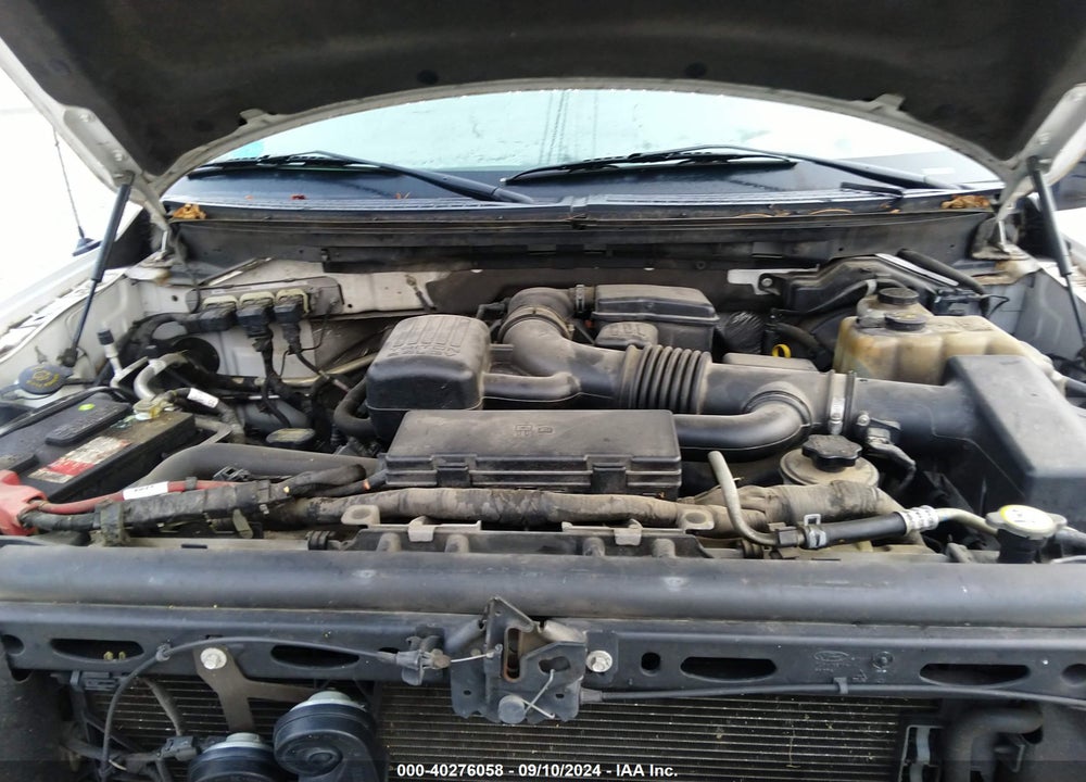 2010 FORD F-150 FX4/HARLEY-DAVIDSON/KING RANCH/LARIAT/PLATINUM/XL/XLT VIN: 1FTFW1EV8AFD71117