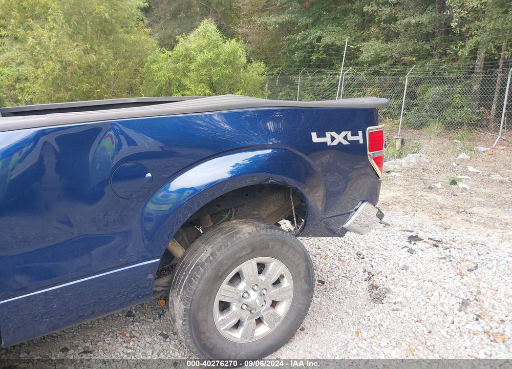 2010 FORD F-150 XLT VIN: 1FTFW1EVXAFC34194