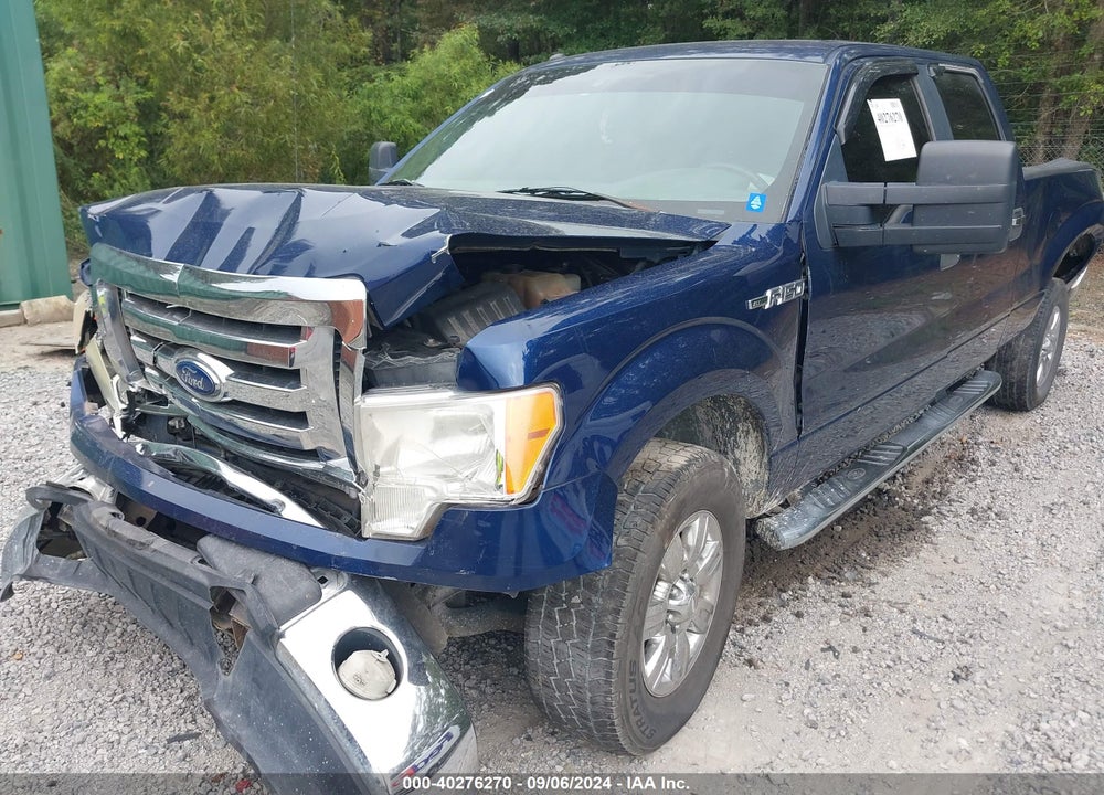 2010 FORD F-150 XLT VIN: 1FTFW1EVXAFC34194