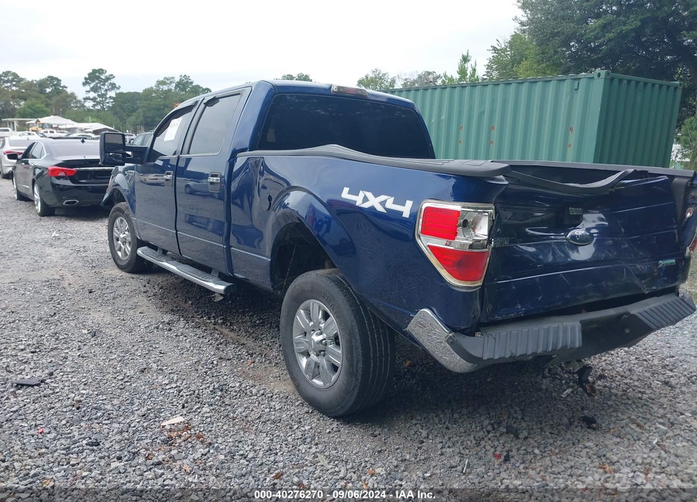 2010 FORD F-150 XLT VIN: 1FTFW1EVXAFC34194