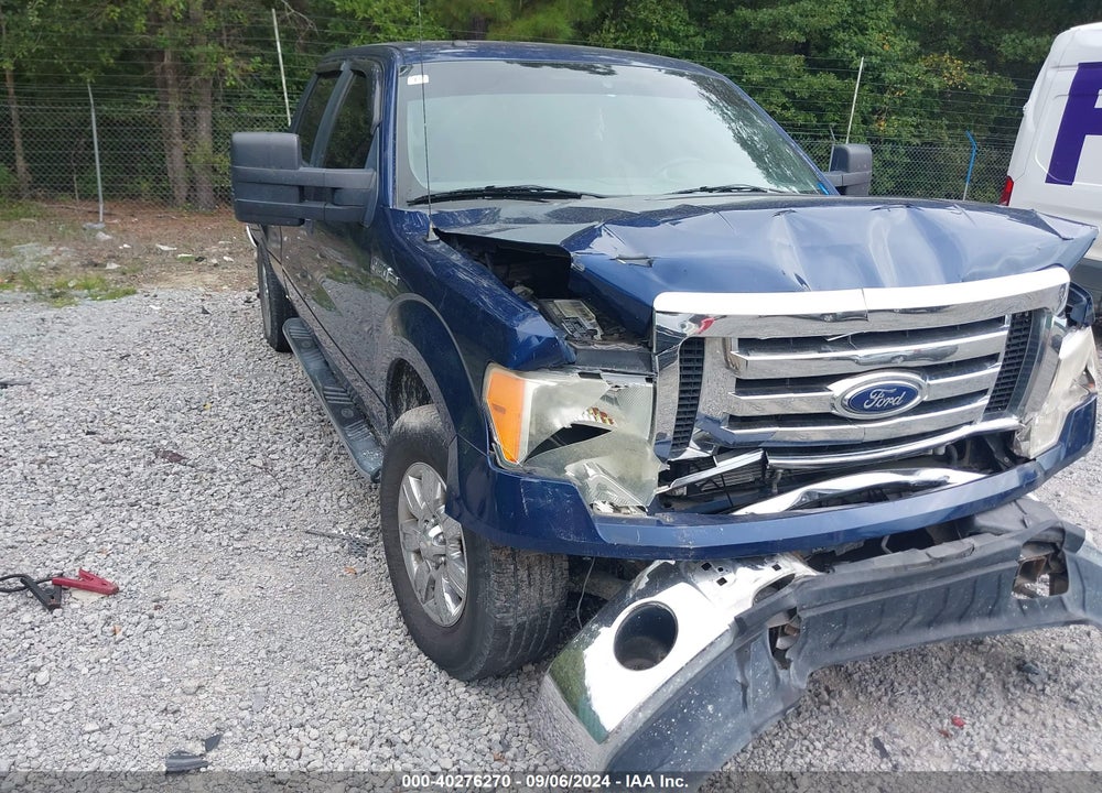 2010 FORD F-150 XLT VIN: 1FTFW1EVXAFC34194