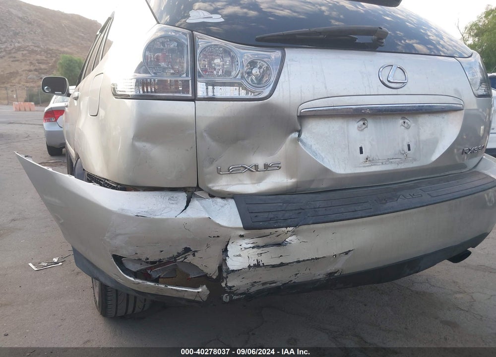 2006 LEXUS RX 330 VIN: JTJGA31U060065273
