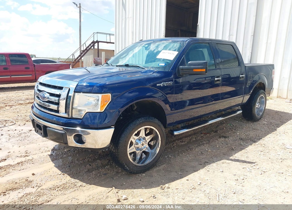2009 FORD F-150 XL/XLT VIN: 1FTRW12849FA69895