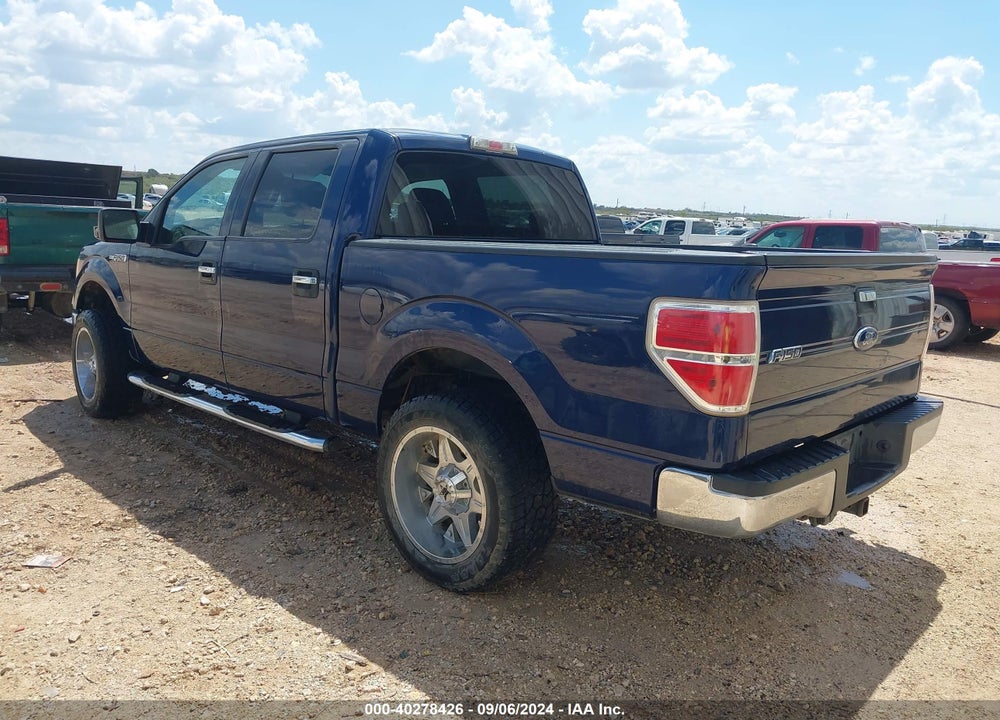 2009 FORD F-150 XL/XLT VIN: 1FTRW12849FA69895