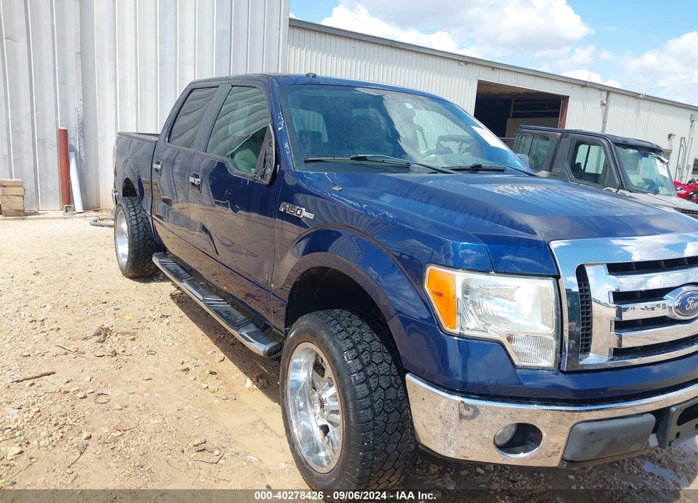 2009 FORD F-150 XL/XLT VIN: 1FTRW12849FA69895