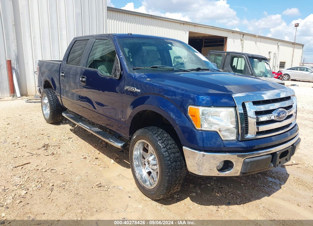 2009 FORD F-150 XL/XLT VIN: 1FTRW12849FA69895