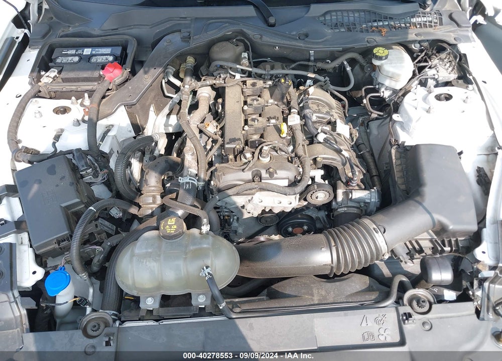 2021 FORD MUSTANG ECOBOOST PREMIUM FASTBACK VIN: 1FA6P8TH0M5112639