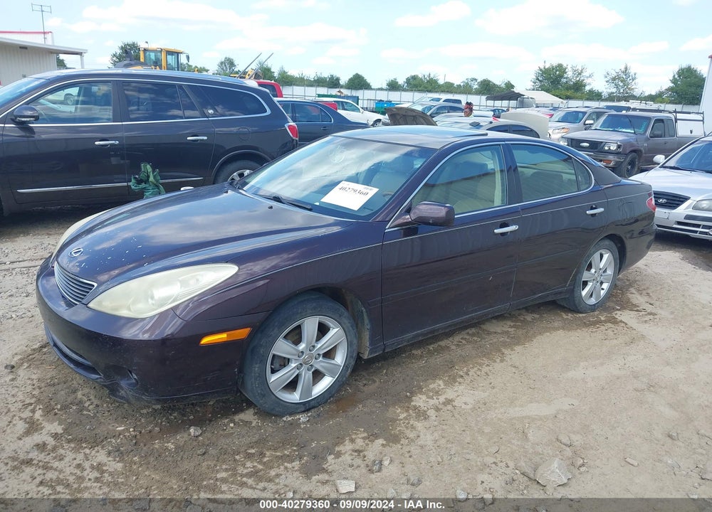2005 LEXUS ES 330 VIN: JTHBA30G155093088