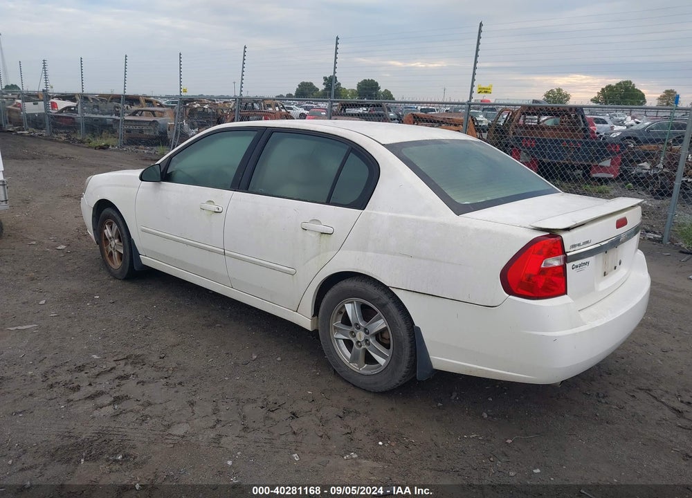 2005 CHEVROLET MALIBU VIN: 1G1ZT54885F254239