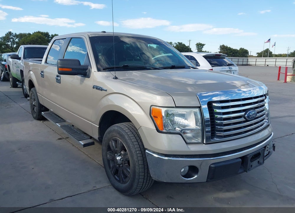 2010 FORD F-150 XLT VIN: 1FTEW1C81AFC05109