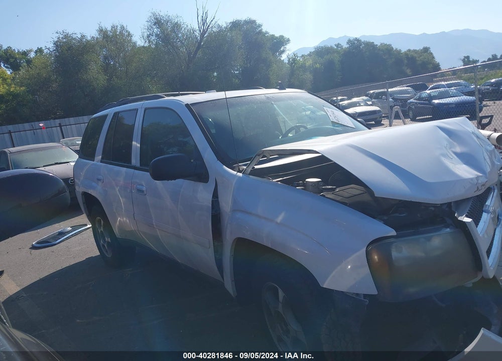 2009 CHEVROLET TRAILBLAZER VIN: 1GNDT33S792115405