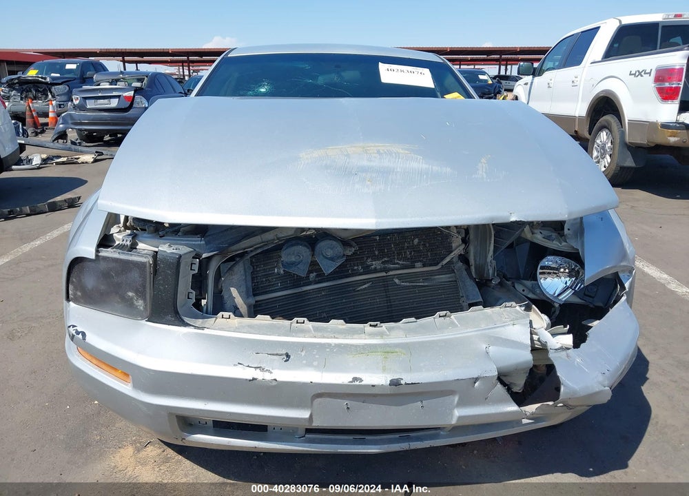 2009 FORD MUSTANG V6/V6 PREMIUM VIN: 1ZVHT80N395140657