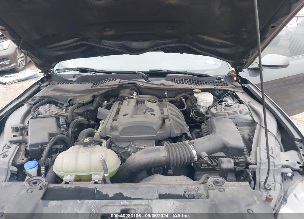 2020 FORD MUSTANG ECOBOOST FASTBACK VIN: 1FA6P8TH0L5154405