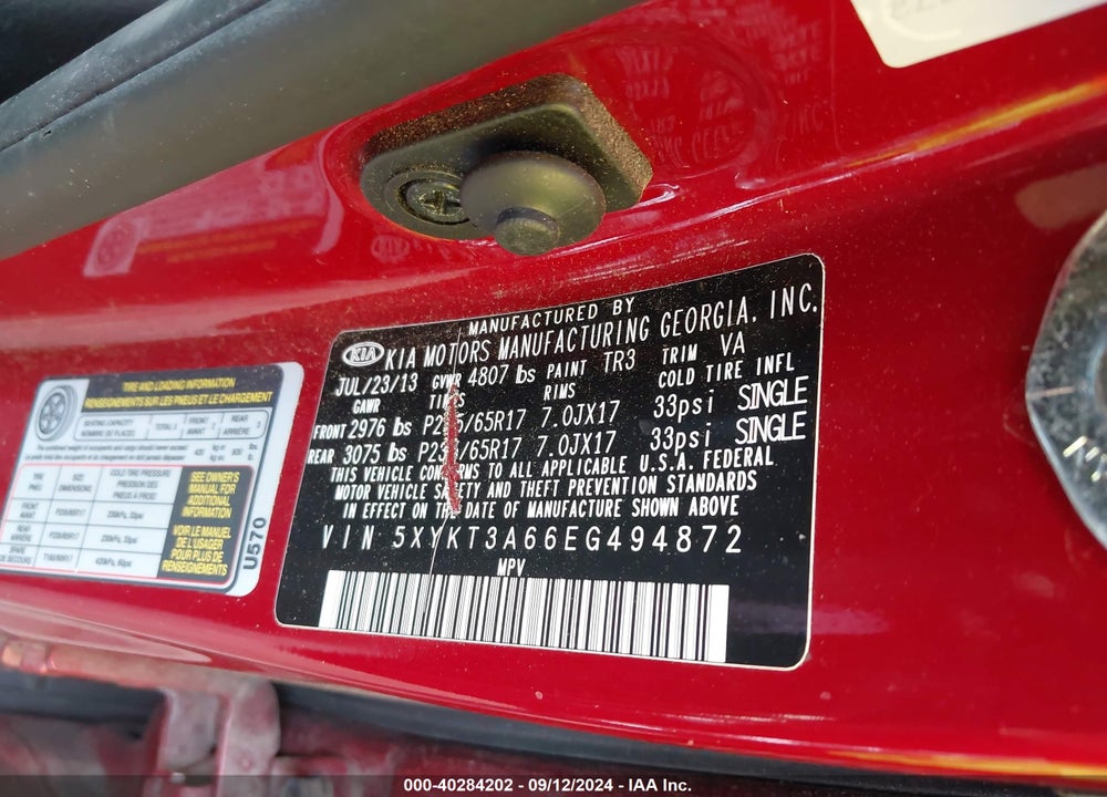 2014 KIA SORENTO LX VIN: 5XYKT3A66EG494872