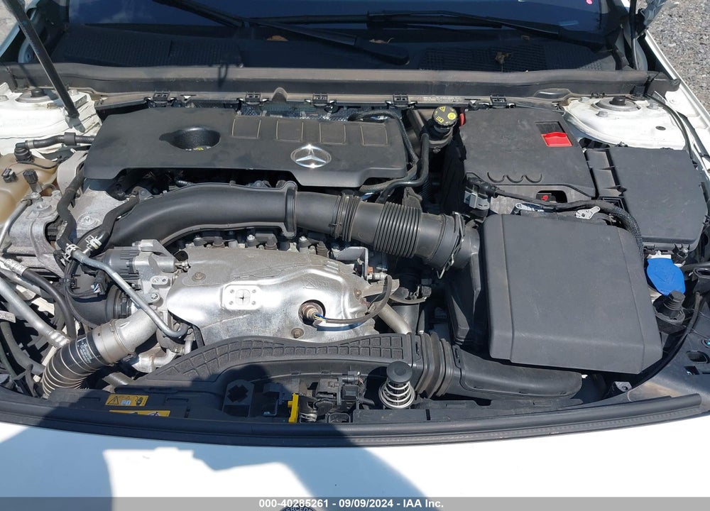 2019 MERCEDES-BENZ A 220 VIN: WDD3G4FB3KW000783
