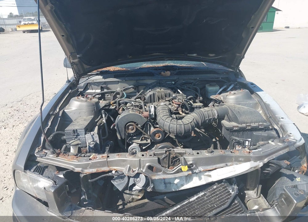 2005 FORD MUSTANG V6 DELUXE/V6 PREMIUM VIN: 1ZVFT80N655202196