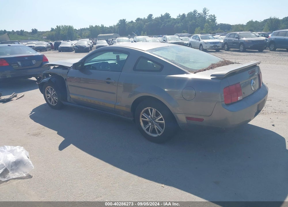2005 FORD MUSTANG V6 DELUXE/V6 PREMIUM VIN: 1ZVFT80N655202196